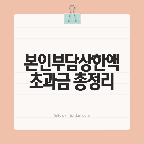 본인부담상한액 초과금 총정리