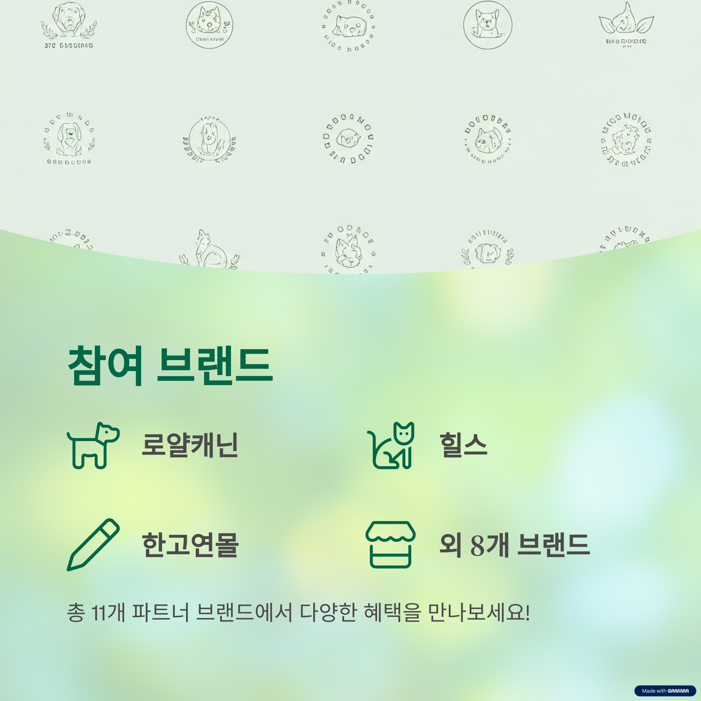 네이버플러스 멤버십 추천 신규 혜택 펫 바우처 출시 안내 - 반려인들을 위한 특별한 혜택!
