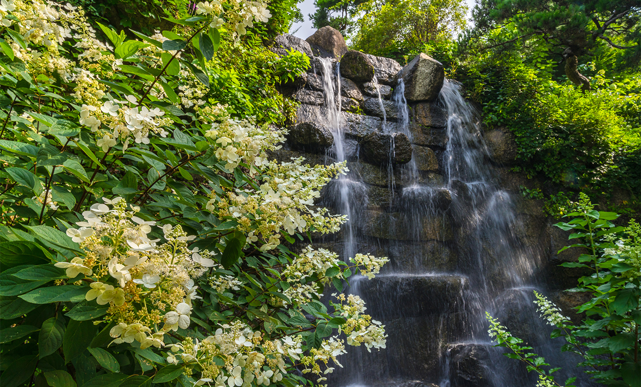 벚꽃이 개화한 화담숲은 매우 아름답습니다.