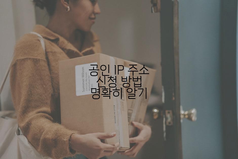 공인 IP 주소 신청 방법 명확히 알기