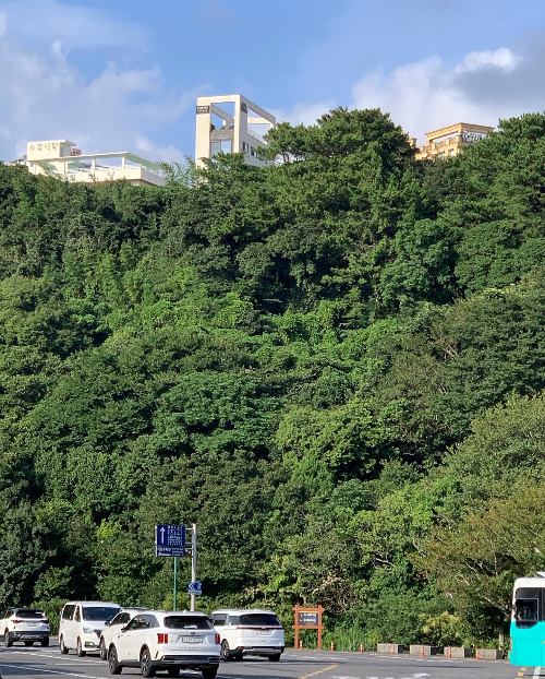 오버더윈도우