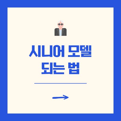 시니어 모델 되는 법 선발대회 조건 및 일정