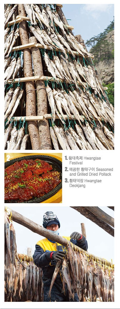 인제 5대 명품 황태