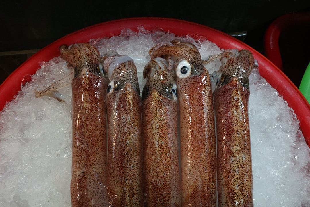 진미채 (dried squid)