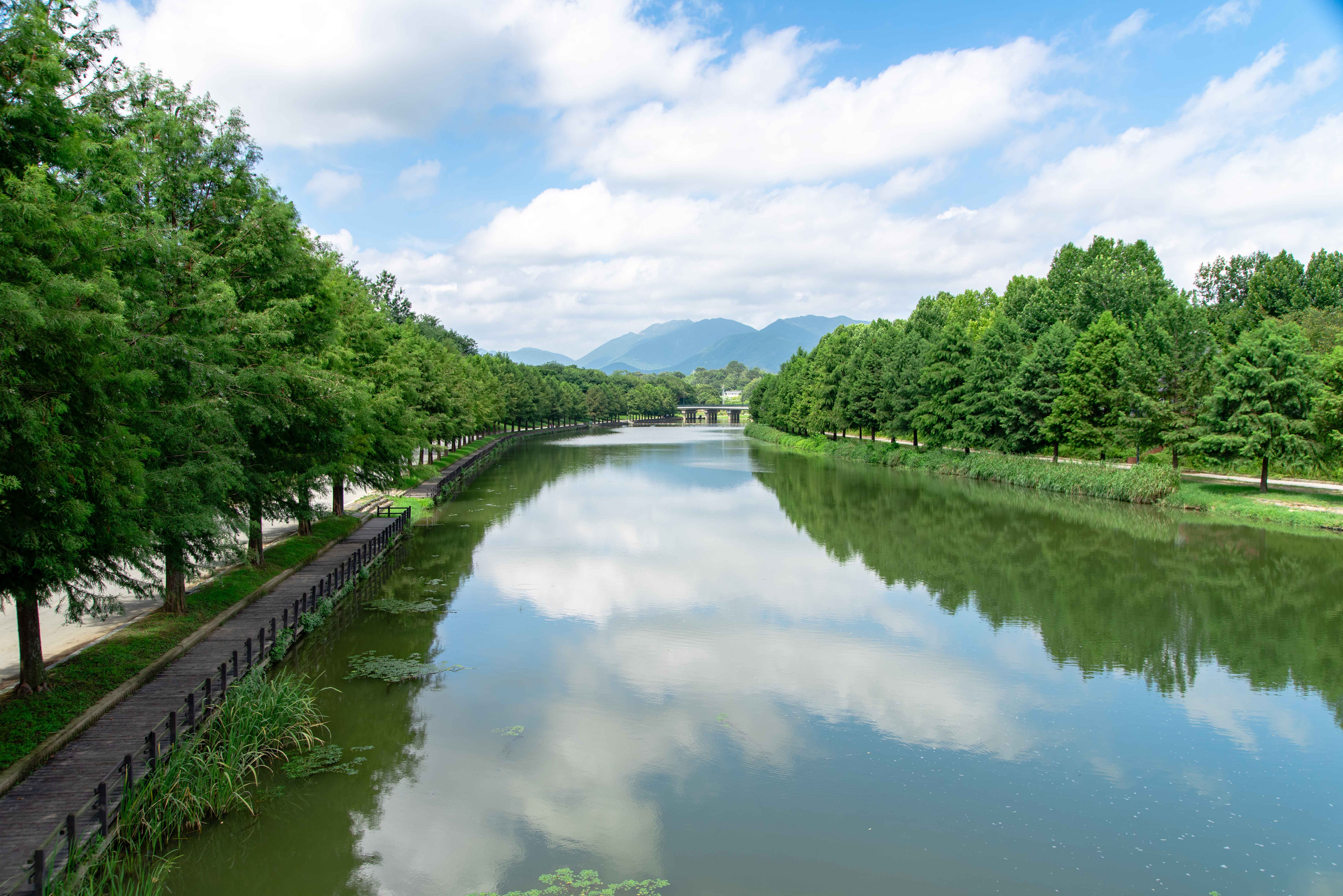 담양 관방제림 사진