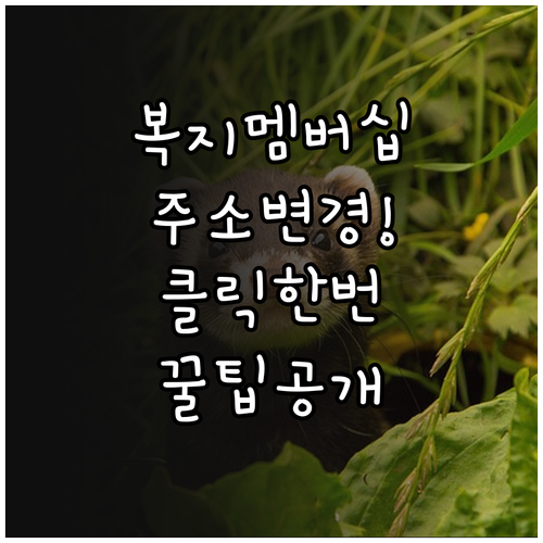 복지멤버십 주소 변경 온라인 복지로 ..