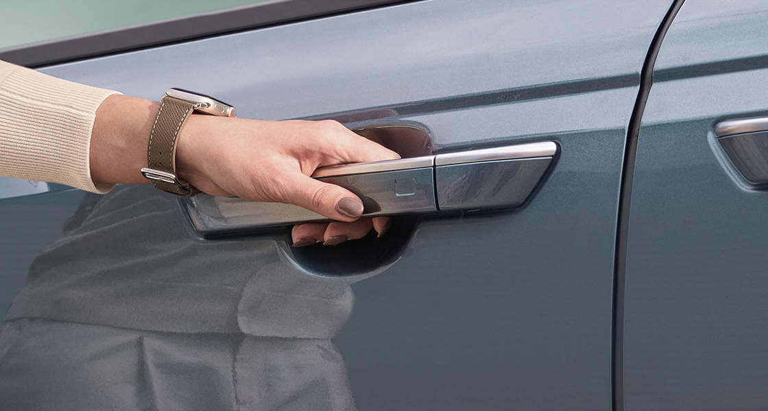 카니발 페이스 리프트