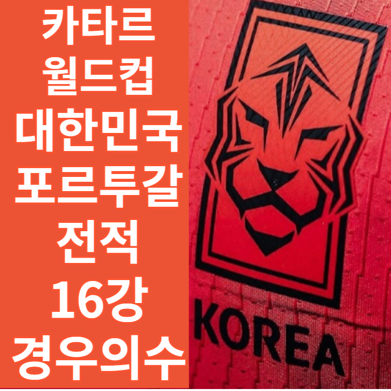 카타르 월드컵 대한민국 포르투갈 전적 16강 경우의수
