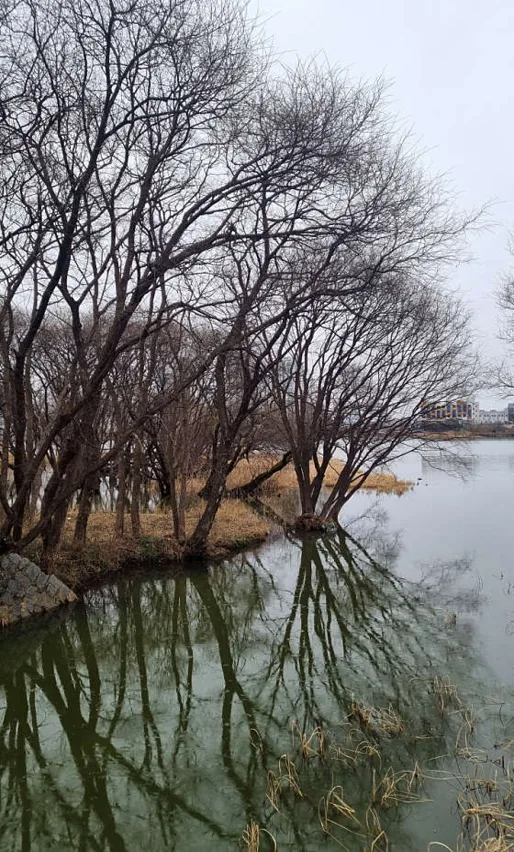 오송호수공원