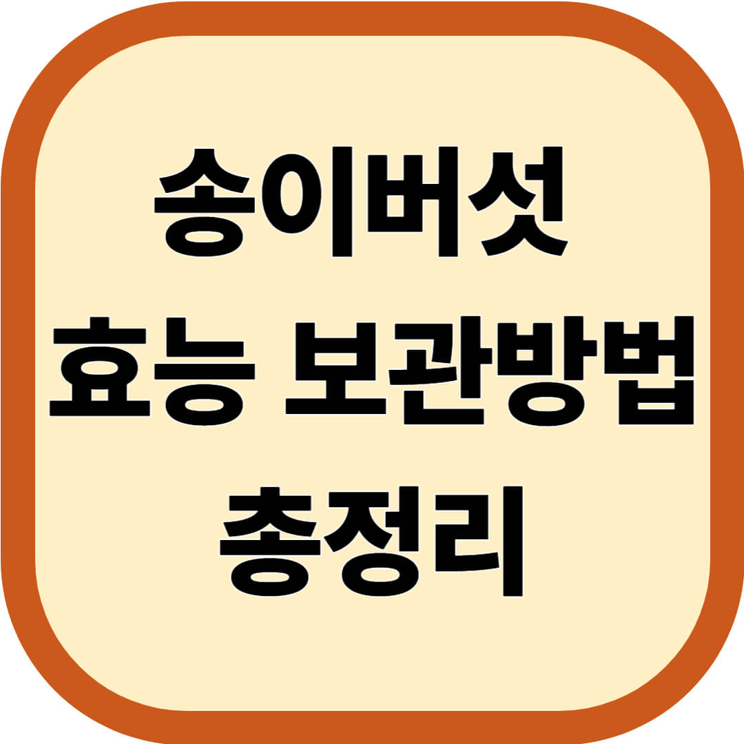 송이버섯 효능 보관방법 총정리