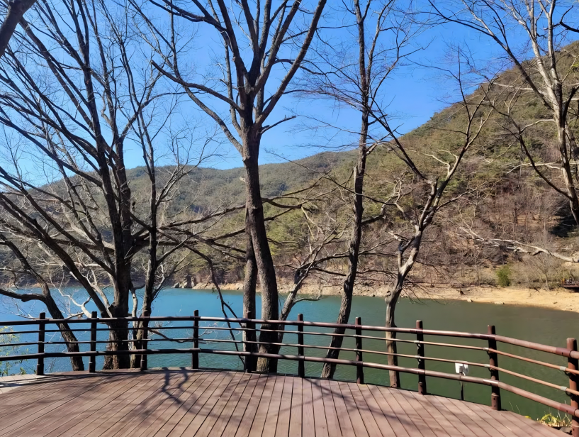 구례 천은사 잔잔한 호수뷰