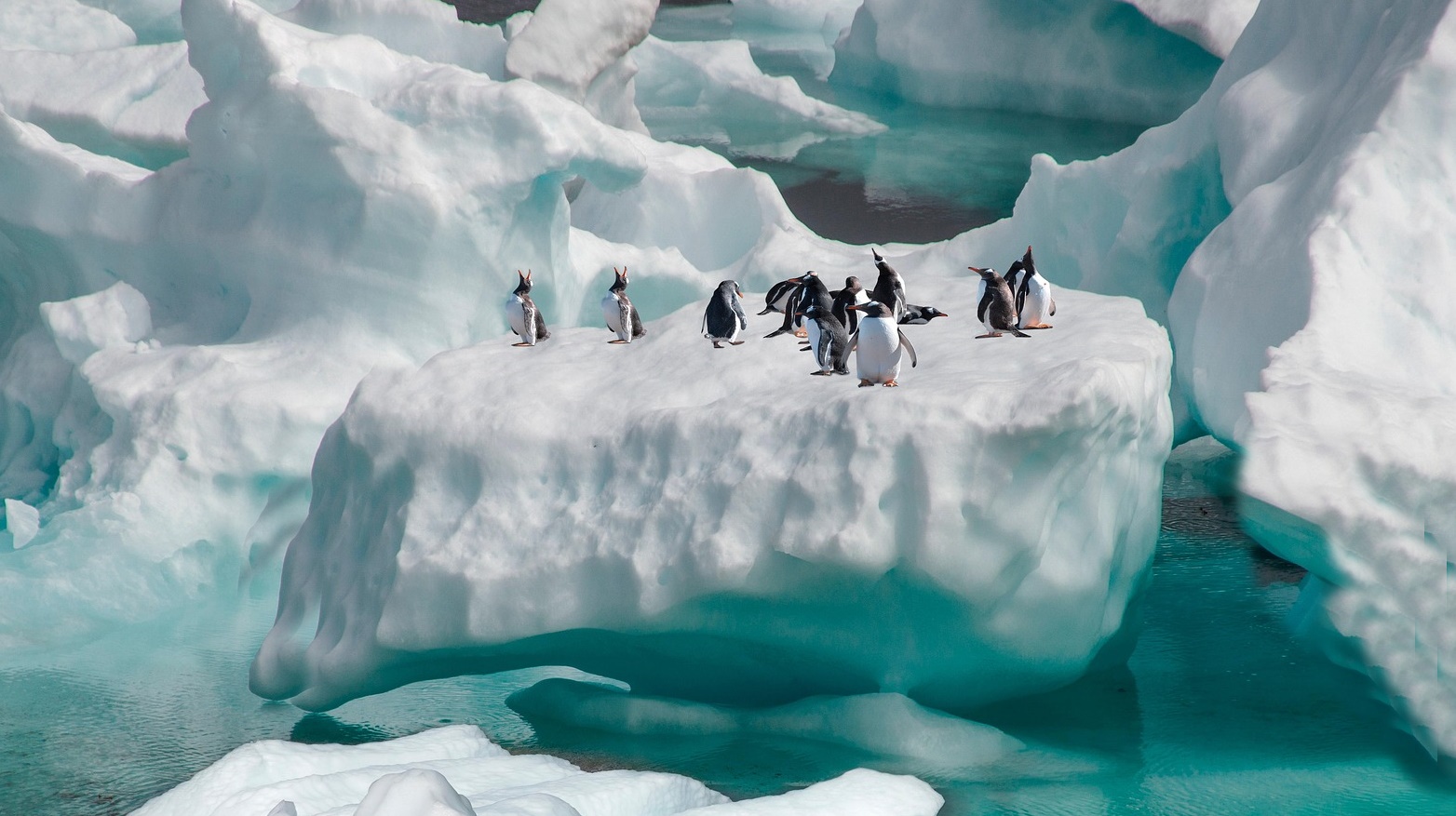 기후 재난이 일상이 된 이유 지금 이 순간에도 진행 중인 5가지 경고 신호