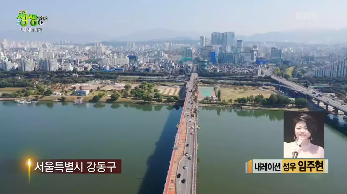 강동구