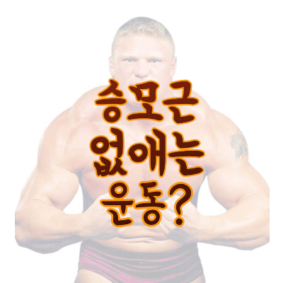 승모근-없애는-운동-직각어깨-스트레칭