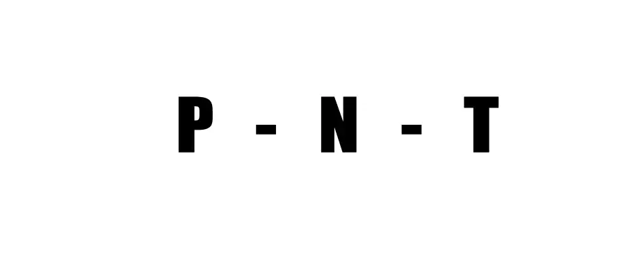 P - N - T 공식