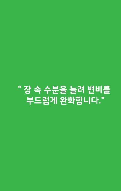 마그밀정 효능