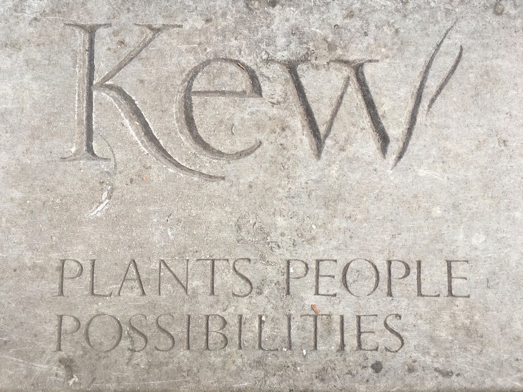 '귀한'의 영어는 'precious'입니다.