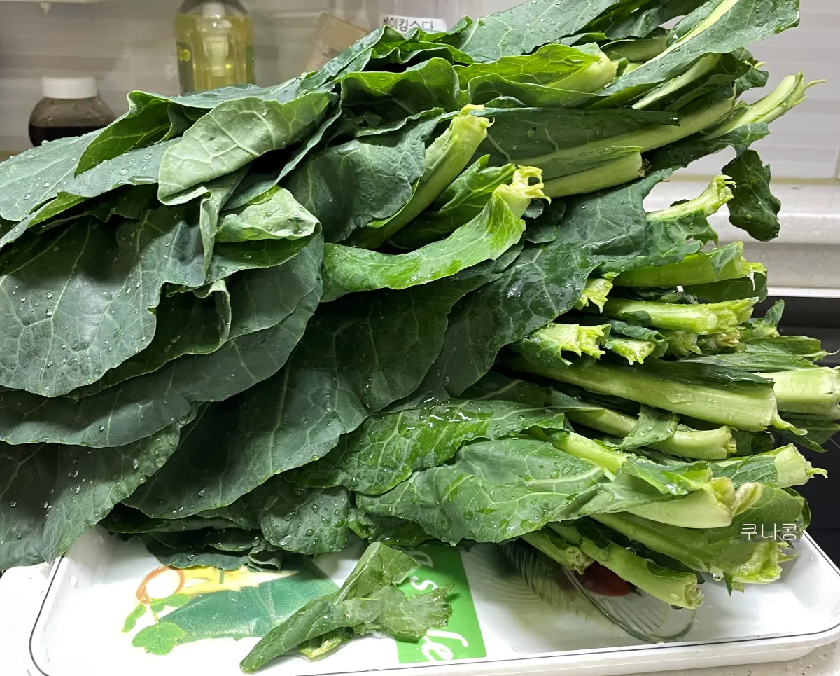 집에서-간단하게-전자레인지로-케일-찌는-방법,-실리만-찜기-사용후기