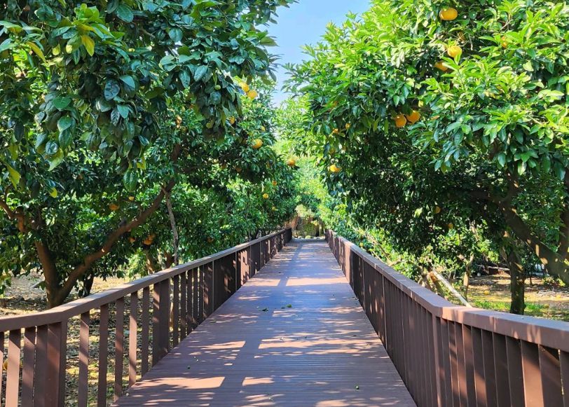 제주도 가볼만한곳 10곳 30선 숨도, 귤림성