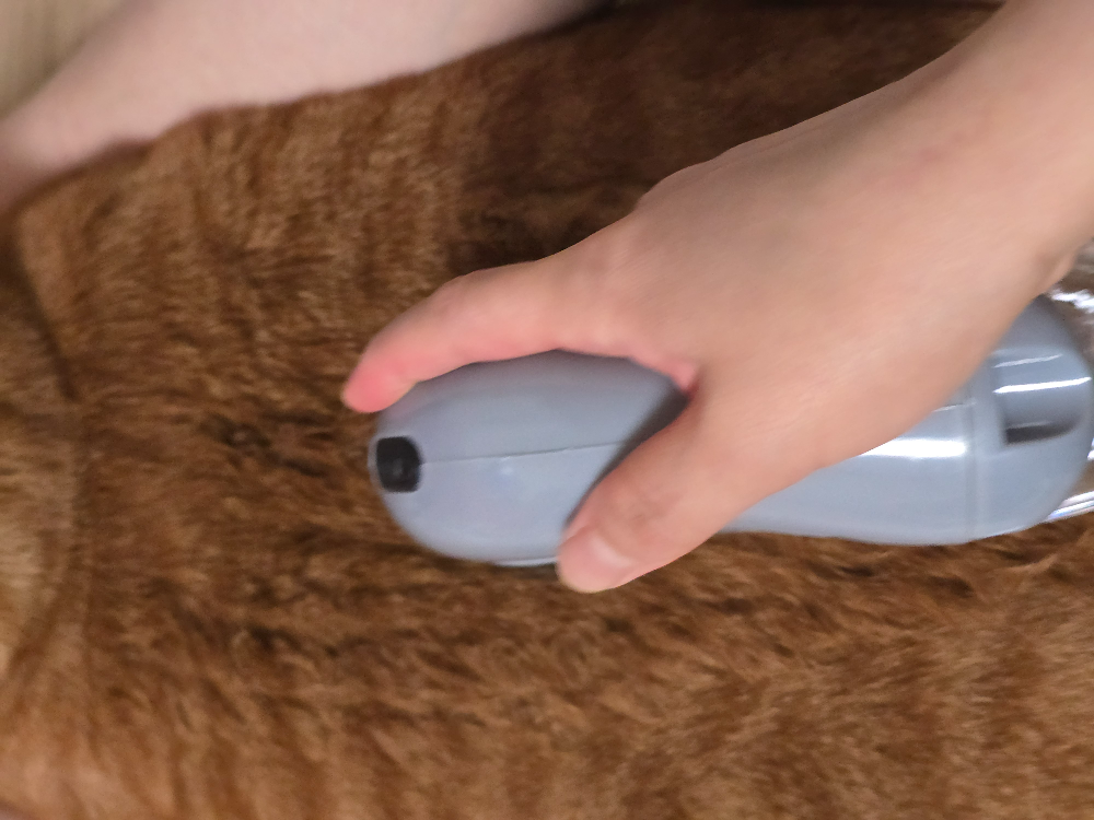 다이소 반려동물 전동 털 흡입기4