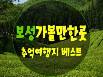 보성 가볼만한곳 베스트10 현지인 추천 필수코스_2