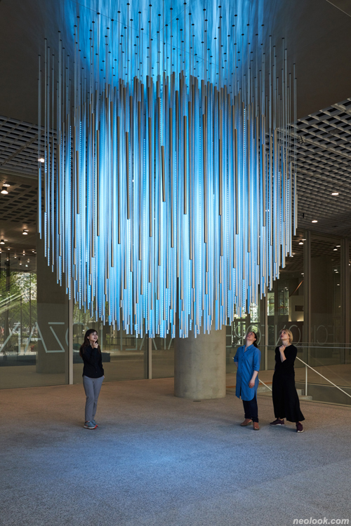 라파엘 로자노헤머 작품