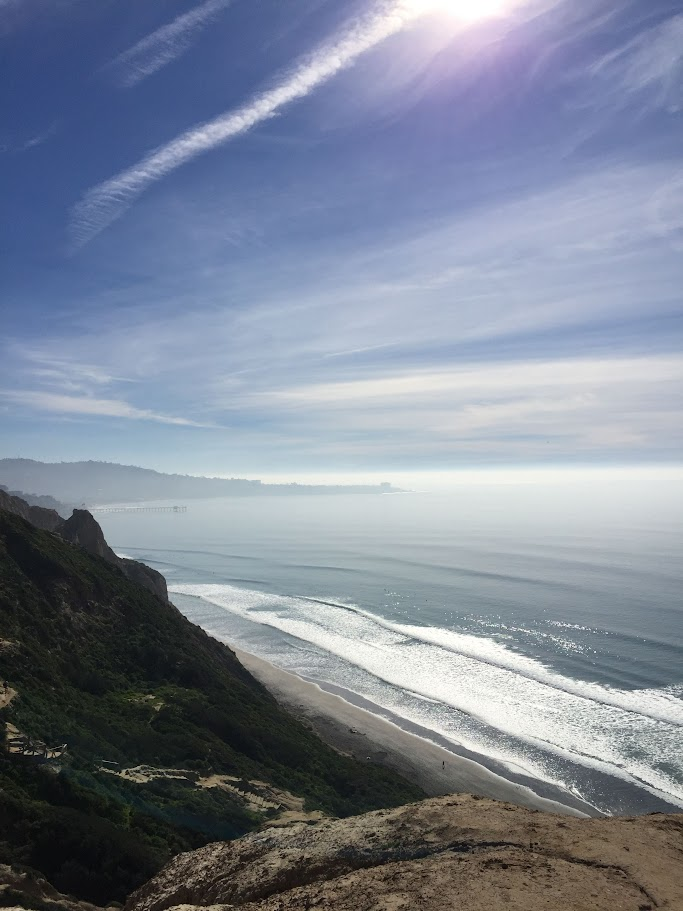 토레이 파인즈 스테이트 리저브 블랙스 비치