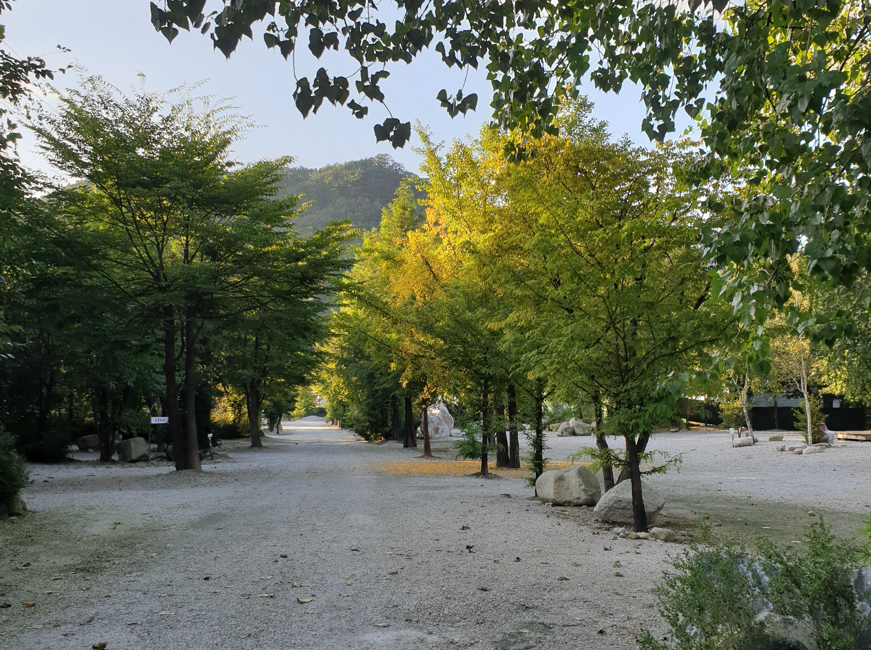 포천 도마치캠핑장 소개