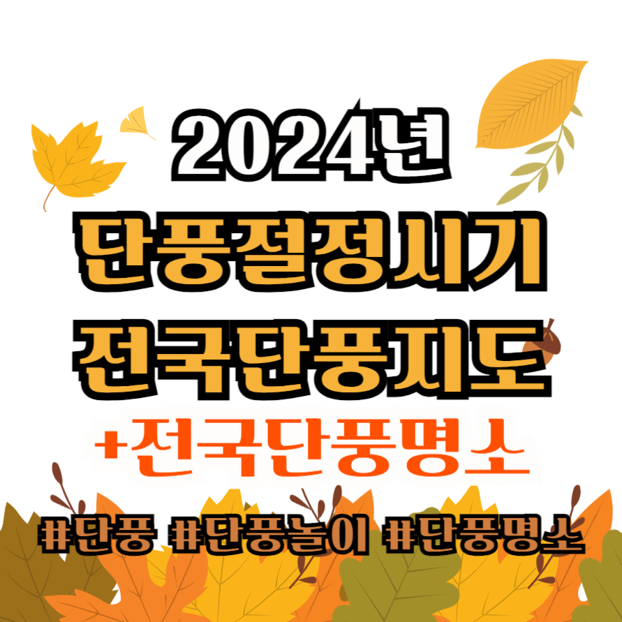 2024년 단풍, 2024년 단풍정보, 2024년 첫단풍, 2024년 단풍절정시기, 첫단풍, 단풍절정, 단풍 등산, 단풍놀이, 설악산, 지리산, 속리산, 팔공산, 내장산, 한라산, 북한산