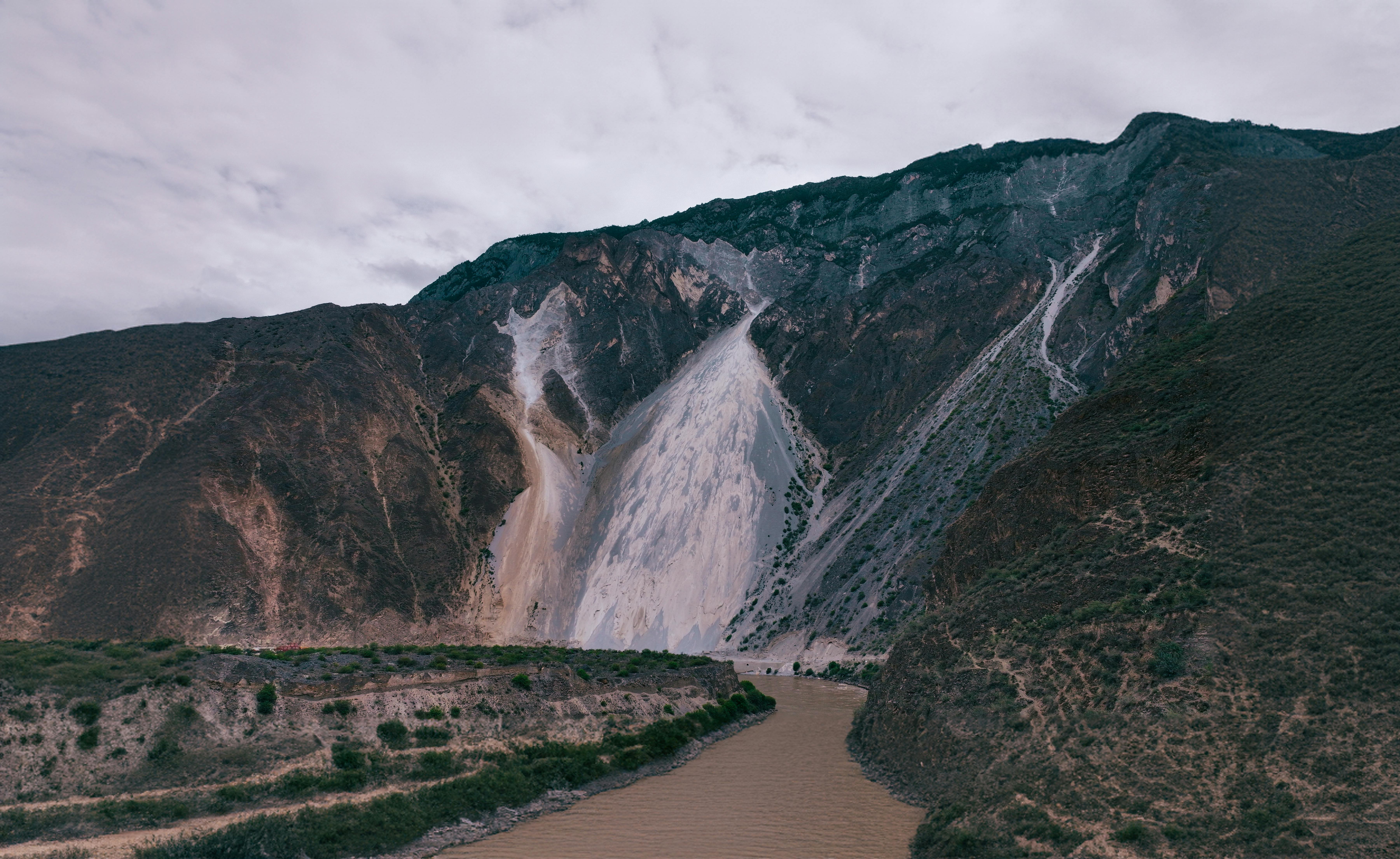 강아지가 서로 싸우는을 상징하는 이미지