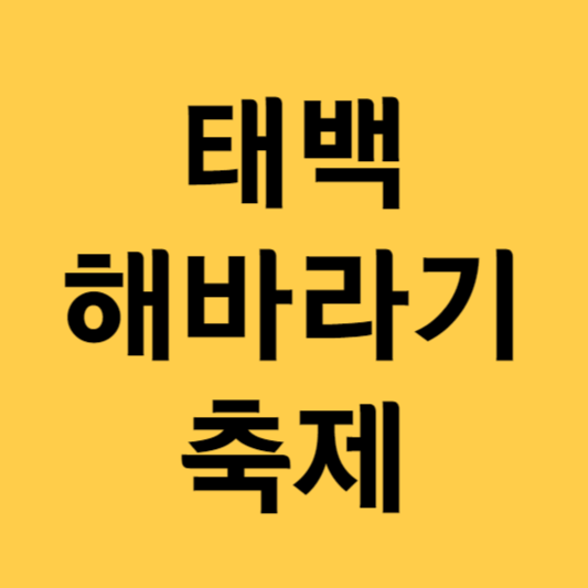 태백 해바라기축제