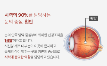 눈편엔 효능 부작용 후기 총정리!