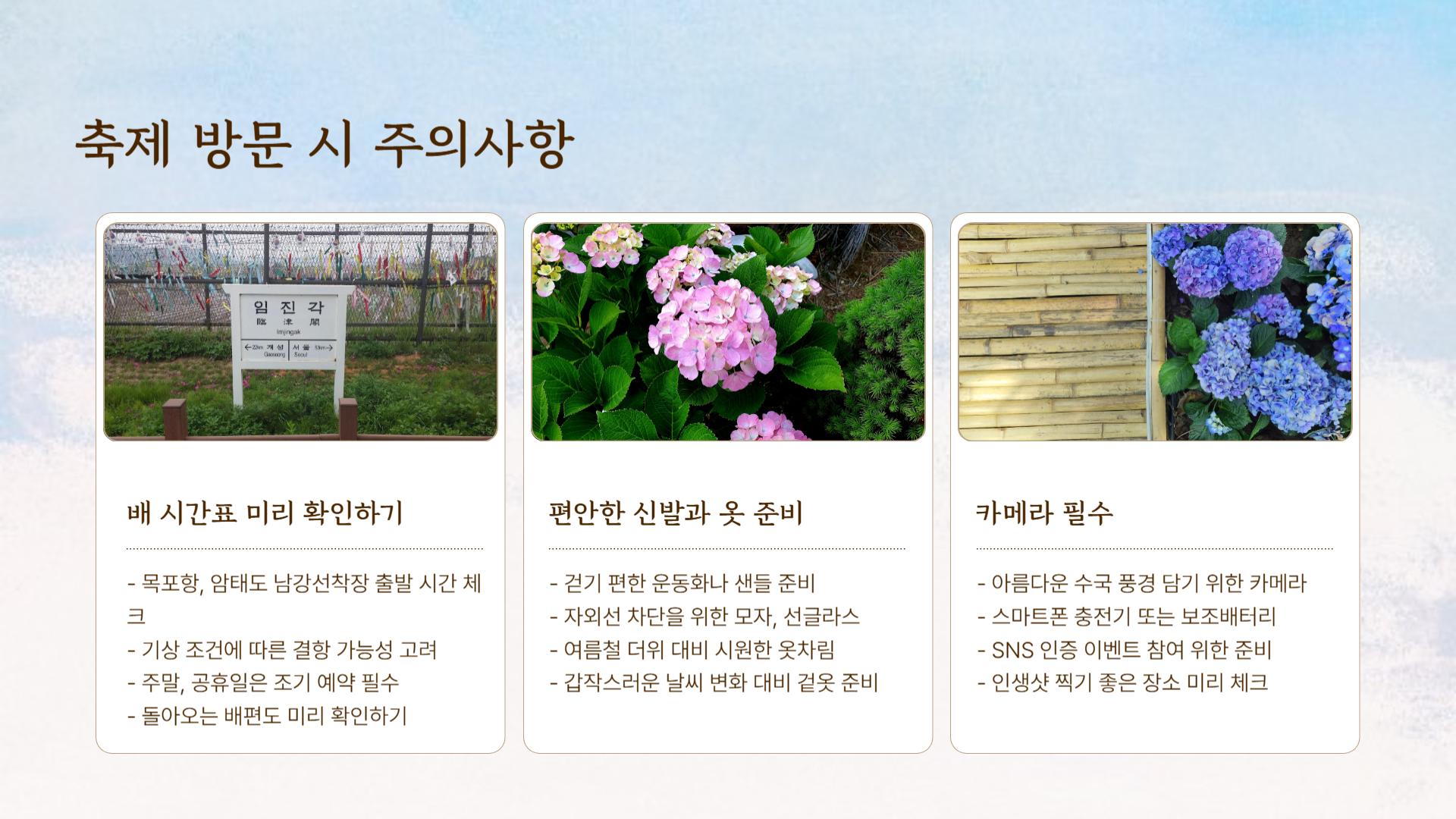 전남 신안 도초도 수국축제