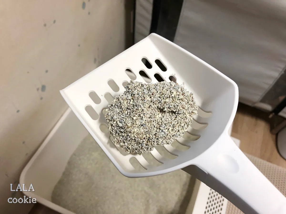 고양이-모래-추천-닥터펠리스-하드볼-후기-응고된-고양이-소변