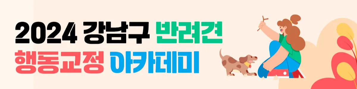 강남구 반려견 행동교정 아카데미