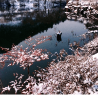 겨울 기차여행 추천지