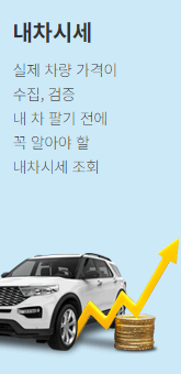 중고차 매매 사이트