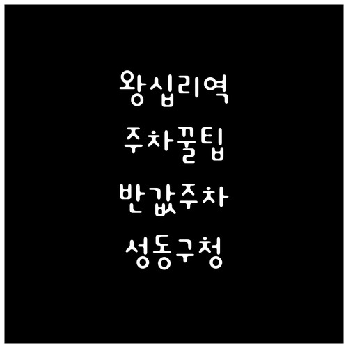 왕십리역 근처 저렴한 주차장 추천 성..