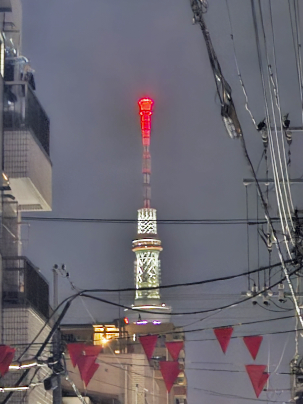 도쿄 호텔 세일스 스카이트리 뷰