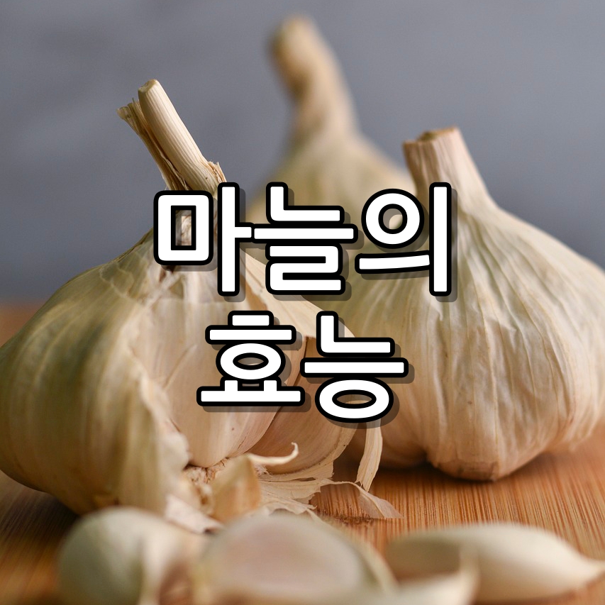 내가 몰랐던 마늘의 효능과 부작용 보관 방법