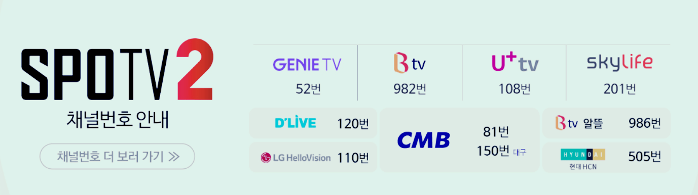 스포티브
