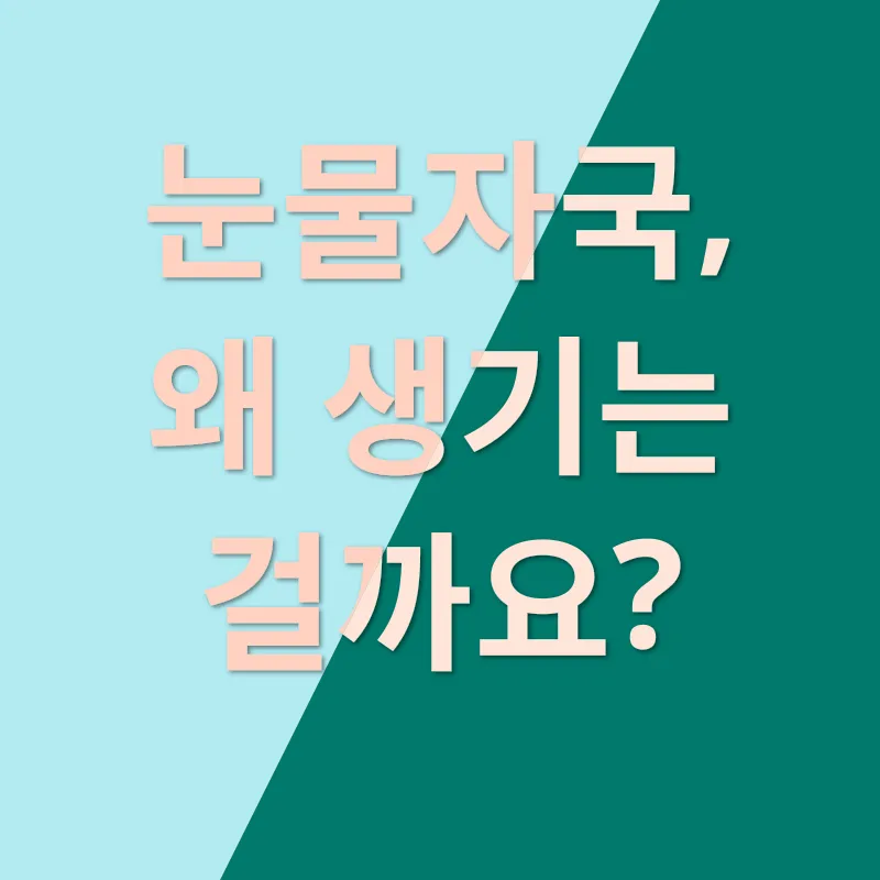 강아지 눈물자국 관리_1