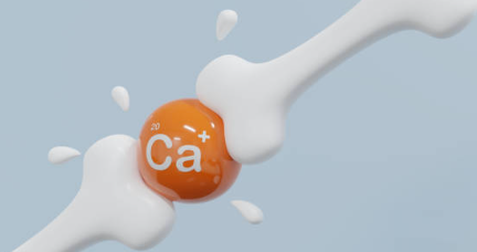 관절에 좋은 영양소