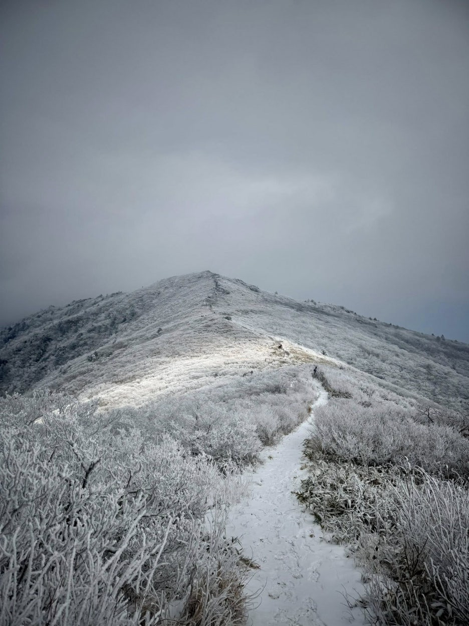 덕유산 CCTV 실시간 날씨 설천봉 향적봉 겨울눈꽃여행