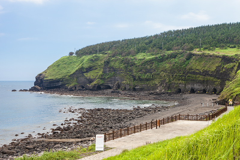 송악산과 일본군이 송악산에 뚫어 놓은 해안동굴 진지_Photo by Kim Sunghwan(Artageo)