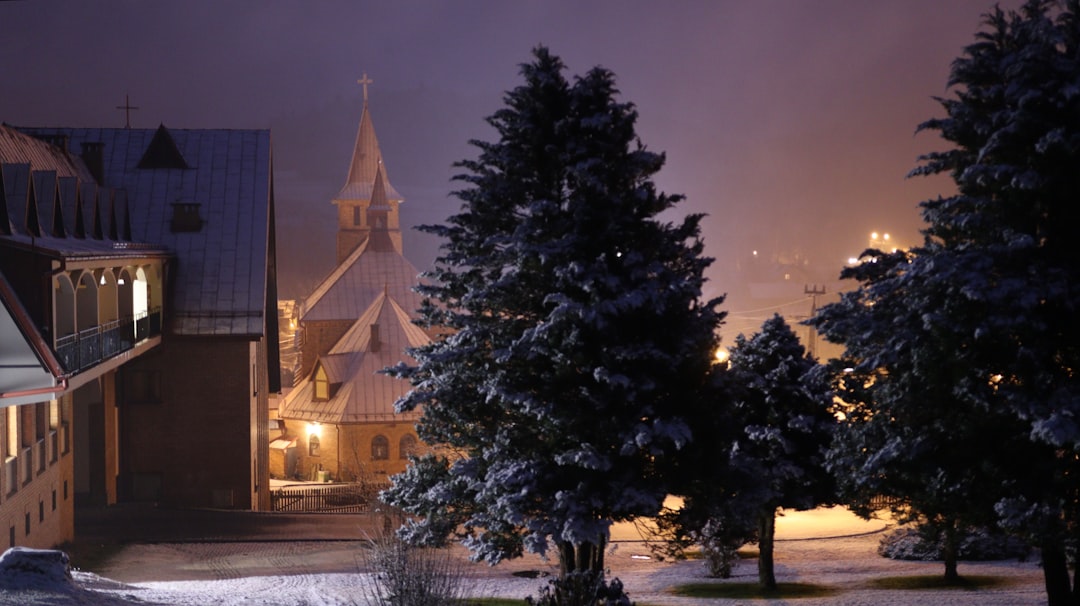 Snow Festival