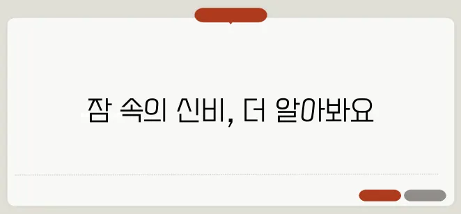 렘수면이란? 수면 단계와 역할