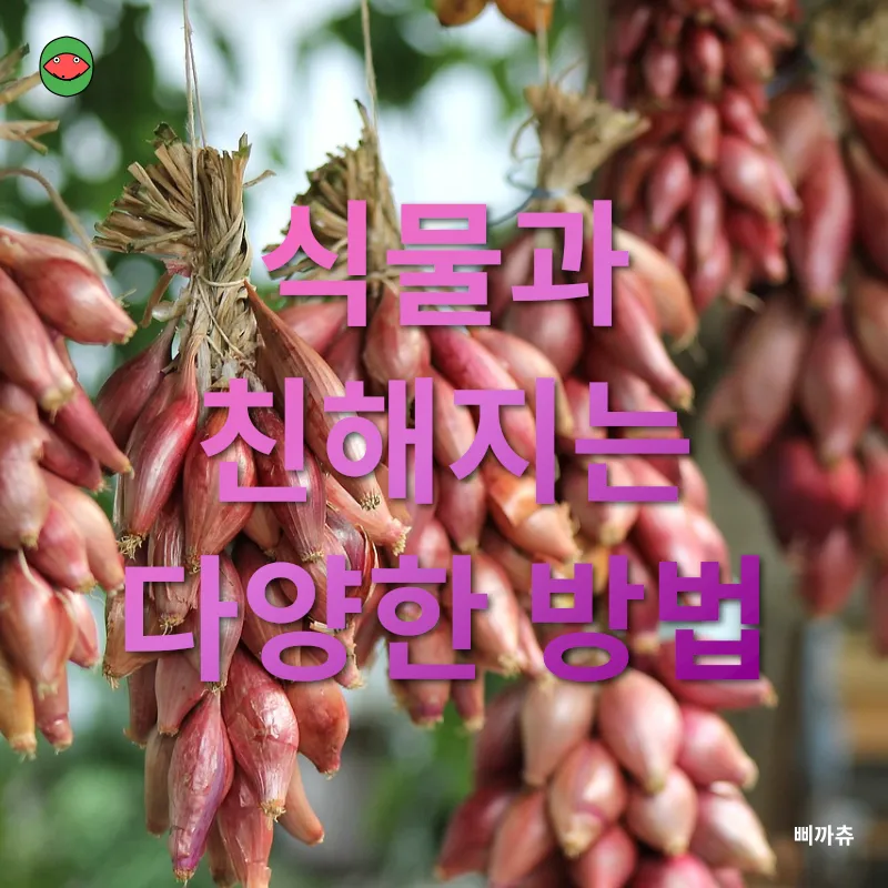 가드닝_2