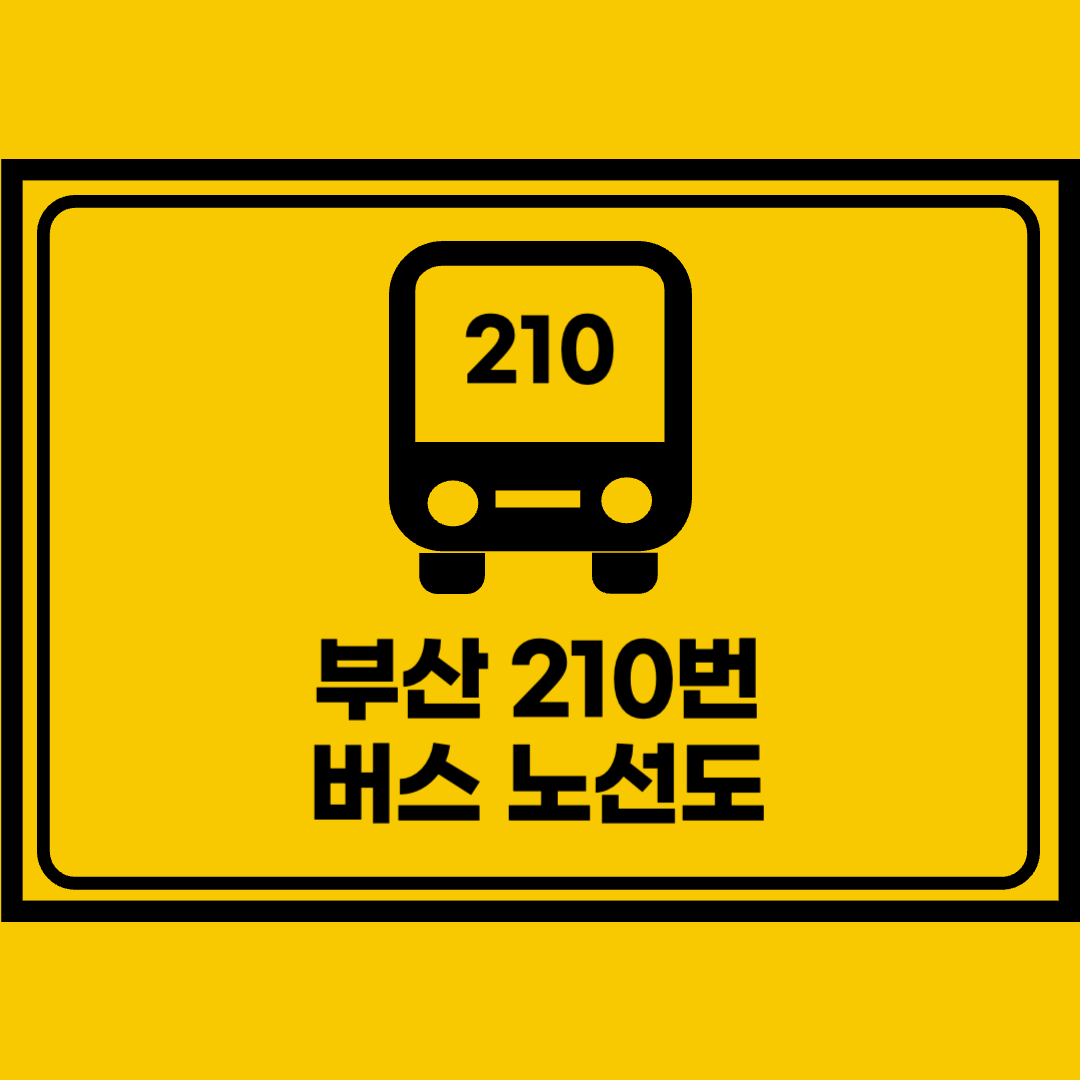 부산210번버스노선도