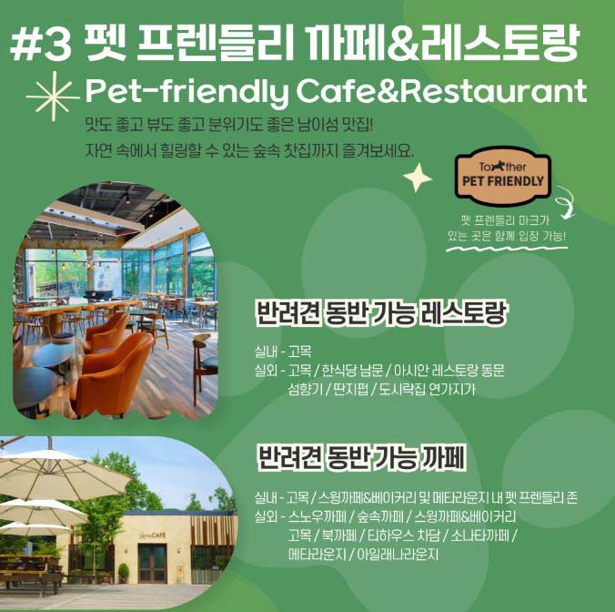 남이섬 반려견 동반 여행